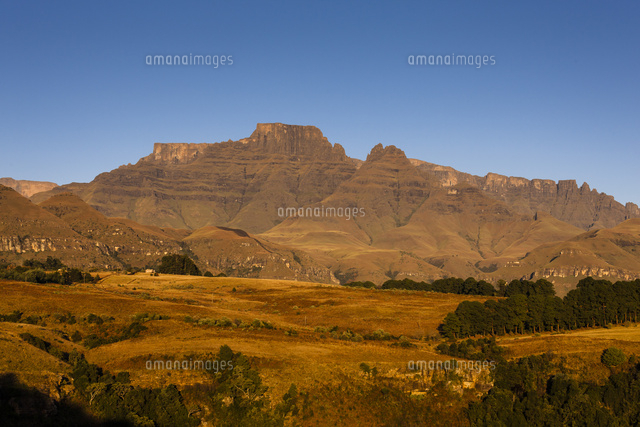 朝のドラケンスバーグ山脈のシャンパーニュ キャッスル山 の写真素材 イラスト素材 アマナイメージズ