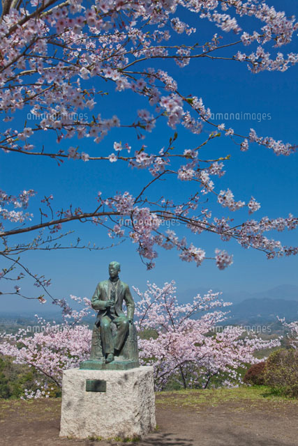 岡城址滝廉太郎像 の写真素材 イラスト素材 アマナイメージズ