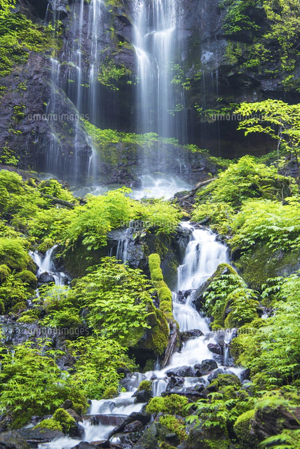 スッカン沢雄飛の滝[01495031118]の写真・イラスト素材｜アマナイメージズ
