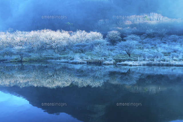 霧氷の覚満淵 の写真素材 イラスト素材 アマナイメージズ