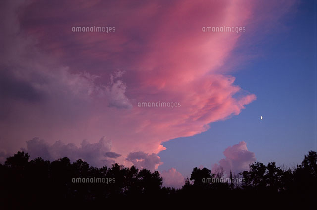 空に桃色の雲と月[01543011792]の写真・イラスト素材｜アマナイメージズ