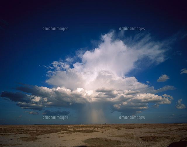 高積雲の入道雲から降る雨 の写真素材 イラスト素材 アマナイメージズ