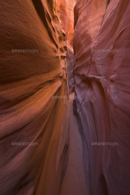 赤い砂岩の渓谷 の写真素材 イラスト素材 アマナイメージズ