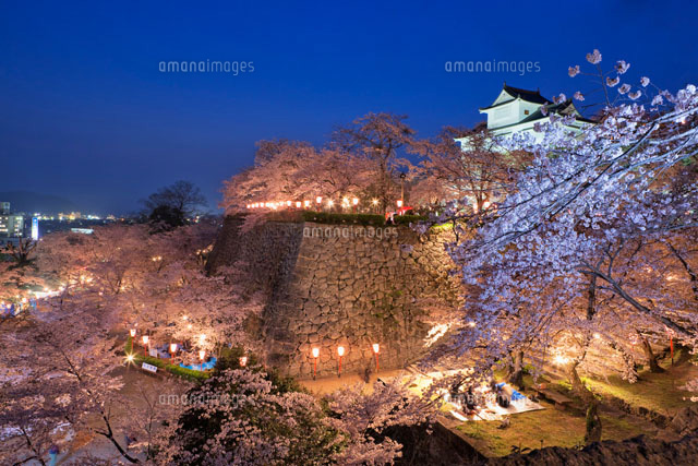 桜咲く鶴山公園と備中櫓夜景[01597014087]の写真・イラスト素材