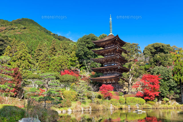 秋の瑠璃光寺五重塔[01597016256]の写真・イラスト素材｜アマナイメージズ