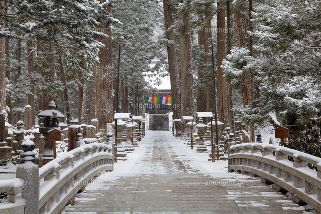 雪の高野山奥の院[01597018152]の写真・イラスト素材｜アマナイメージズ