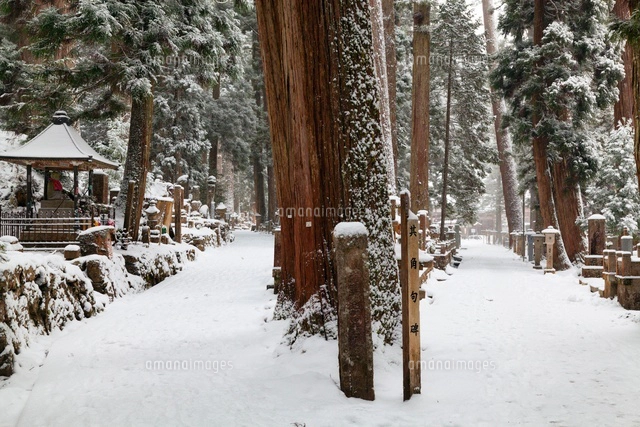 雪の高野山奥の院[01597018152]の写真・イラスト素材｜アマナイメージズ