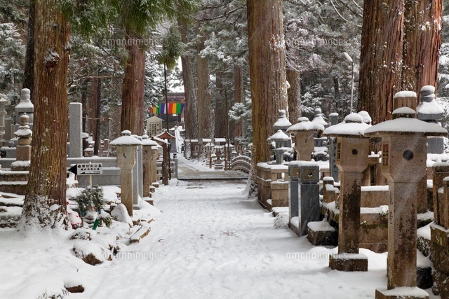 雪の高野山奥の院[01597018152]の写真・イラスト素材｜アマナイメージズ