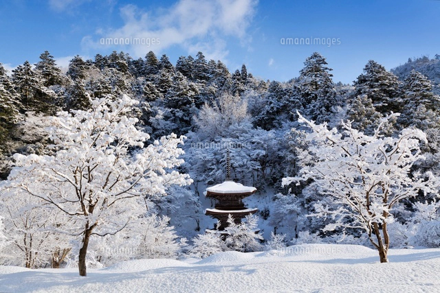 雪の金剛院三重塔[01597018487]の写真・イラスト素材｜アマナイメージズ