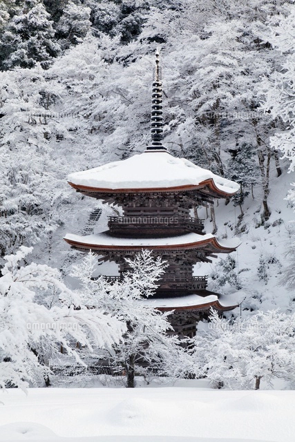 雪の金剛院三重塔[01597018487]の写真・イラスト素材｜アマナイメージズ