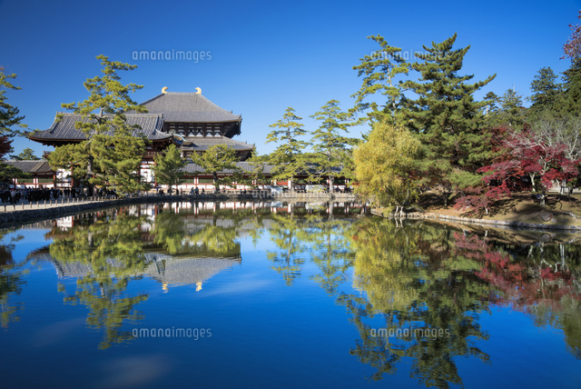東大寺大仏池 大仏池 紅葉