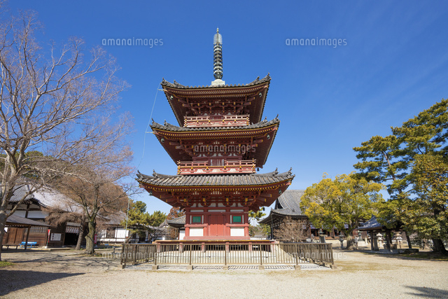 鶴林寺 三重塔[01597021038]の写真・イラスト素材｜アマナイメージズ