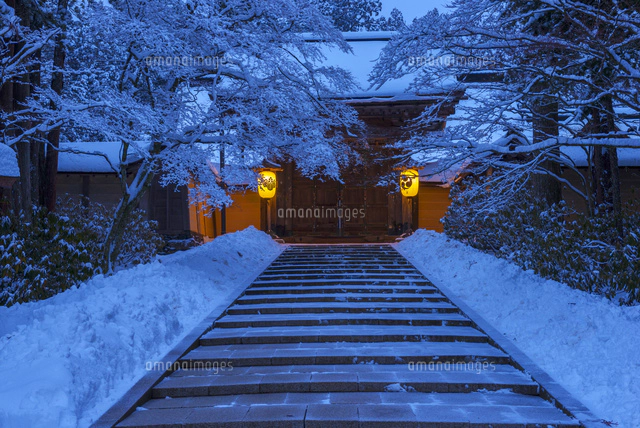 雪の高野山奥の院[01597023767]の写真・イラスト素材｜アマナイメージズ