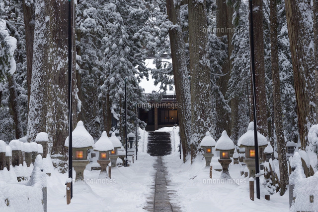 雪の高野山奥の院参道[01597023912]の写真・イラスト素材｜アマナ