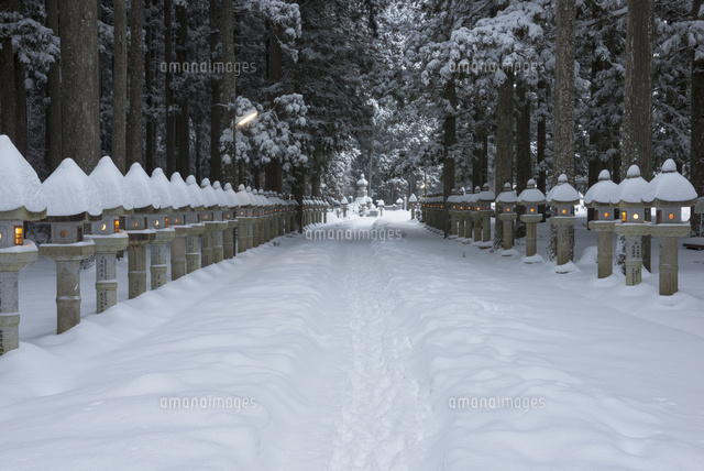 雪の高野山奥の院参道[01597023912]の写真・イラスト素材｜アマナ