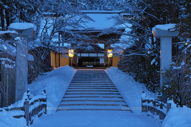 雪の高野山奥の院参道[01597023912]の写真・イラスト素材｜アマナ