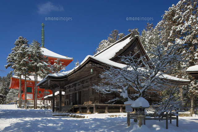 雪の高野山奥の院[01597023767]の写真・イラスト素材｜アマナイメージズ