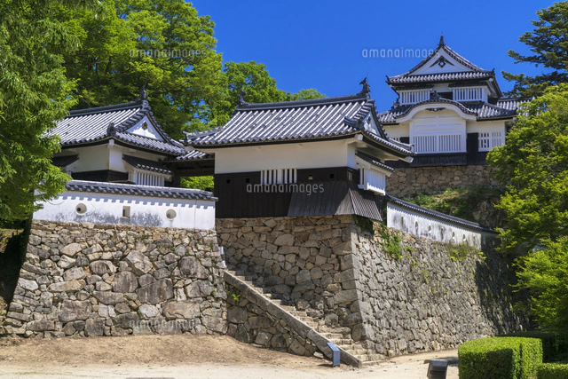 貴重 大きい 備中松山城 白黒写真 フレーム 【公式通販】