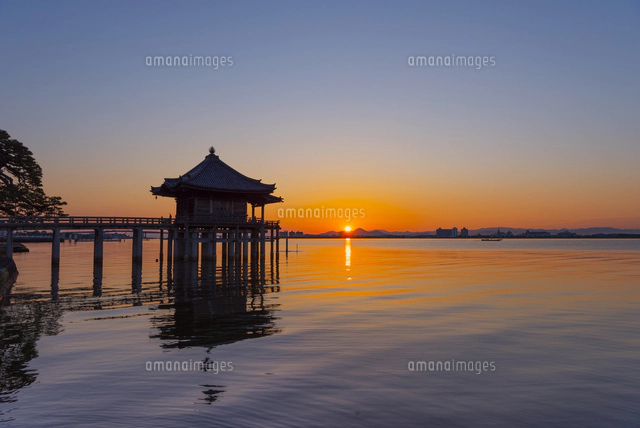 道楽　dowluck ヤゴの朝吉(琵琶湖わかめ) 道楽 dowluck ヤゴの朝吉(琵琶湖わかめ)