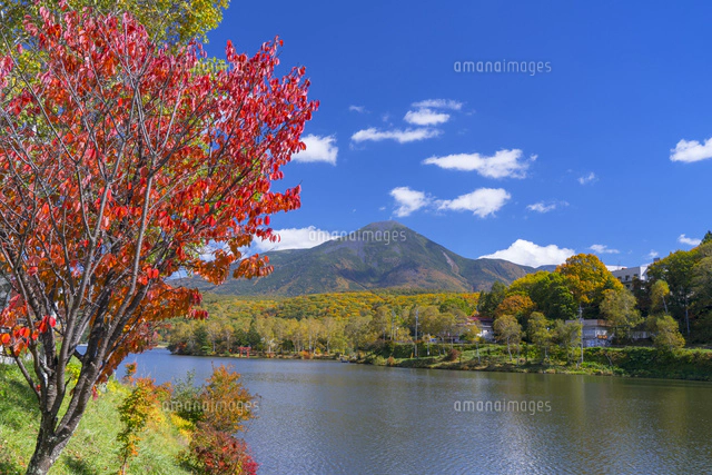 秋の白樺湖と蓼科山[01597029964]の写真・イラスト素材｜アマナ