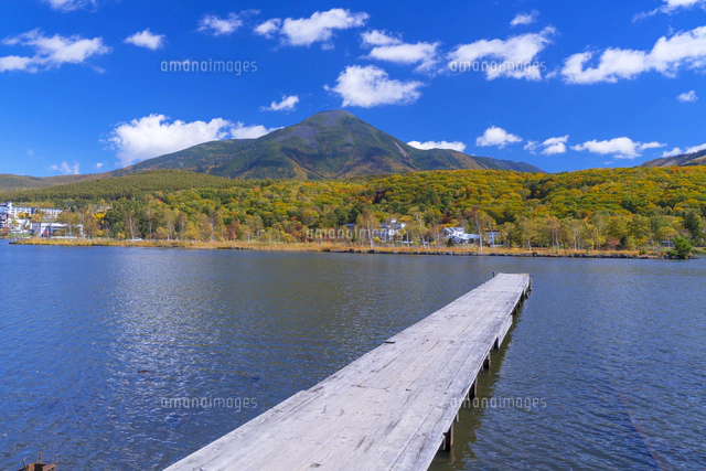 秋の白樺湖と蓼科山[01597029964]の写真・イラスト素材｜アマナ