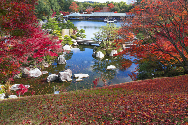 紅葉の三景園 の写真素材 イラスト素材 アマナイメージズ