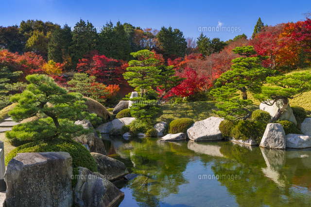 紅葉の三景園 の写真素材 イラスト素材 アマナイメージズ