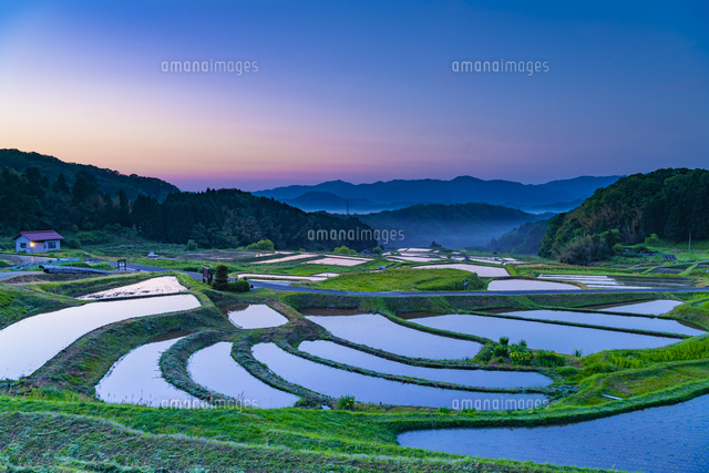 朝の山王寺の棚田 の写真素材 イラスト素材 アマナイメージズ