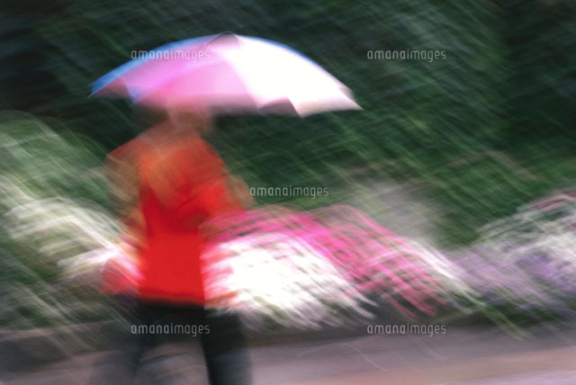雨降りに傘を差す人物 ニューヨーク アメリカ の写真素材 イラスト素材 アマナイメージズ