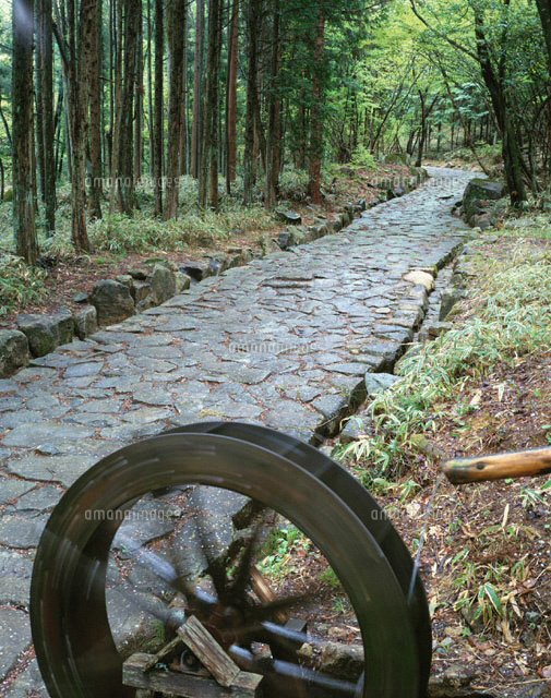 落合の石畳 中津川市 岐阜県[01701011409]の写真素材・イラスト素材｜アマナイメージズ