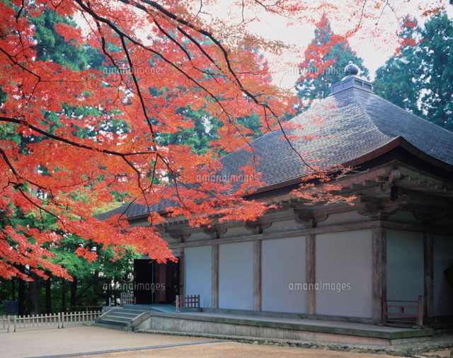 紅葉と中尊寺金色堂 平泉町 岩手県 の写真素材 イラスト素材 アマナイメージズ