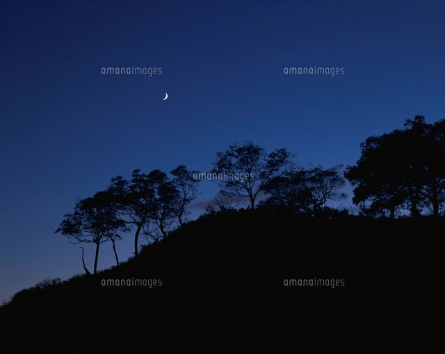 樹のシルエットと三日月 ニセコ 北海道 の写真素材 イラスト素材 アマナイメージズ
