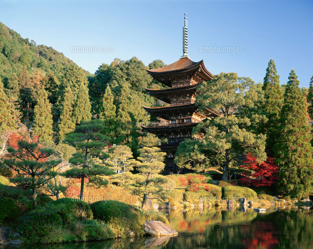 朝の瑠璃光寺 五重塔 山口市 山口県 の写真素材 イラスト素材 アマナイメージズ