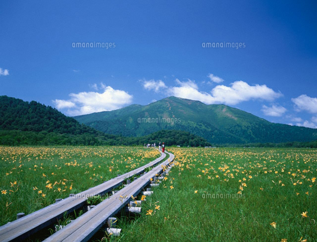 夏の尾瀬ヶ原と至仏山 尾瀬 群馬県 の写真素材 イラスト素材 アマナイメージズ