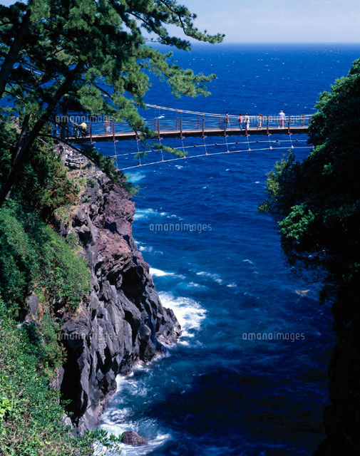 城ヶ崎海岸の吊り橋 伊東市 静岡県 の写真素材 イラスト素材 アマナイメージズ