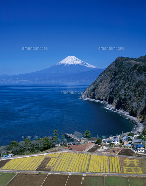 富士山と戸田港の風景 戸田村 静岡県[01801003895]の写真・イラスト