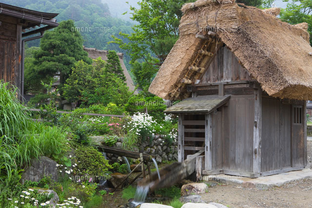 白川郷の水車小屋[01801010806]の写真・イラスト素材｜アマナ