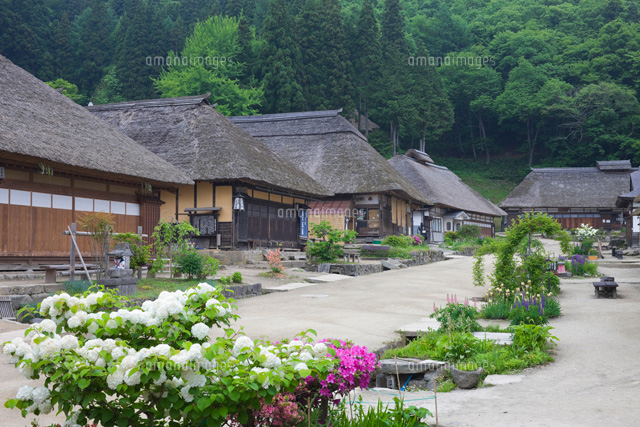 大内宿とオオテマリ の写真素材 イラスト素材 アマナイメージズ