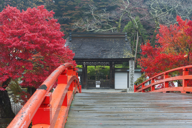 紅葉の室生寺と太鼓橋 の写真素材 イラスト素材 アマナイメージズ