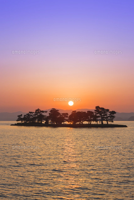 油絵　松江宍道湖夕景　絵画のみ　Ｆ３号 油絵 松江宍道湖夕景 絵画のみ F3号 松江宍道湖夕景 油絵F3号 絵画