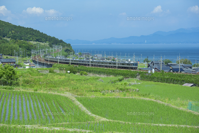 風景 JR湖西線と田園風景[01801015123]の写真・イラスト素材｜アマナイメージズ