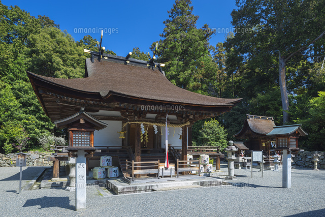 春の御神神社の本殿 の写真素材 イラスト素材 アマナイメージズ