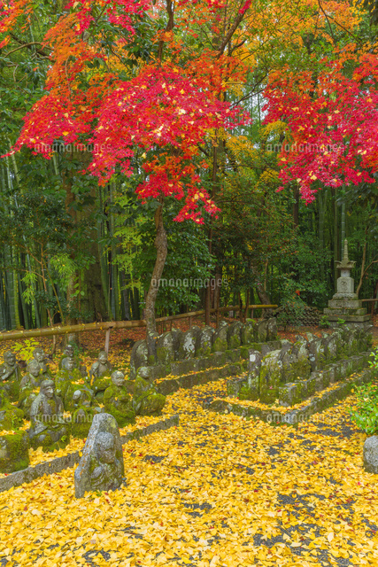 紅葉の赤山禅院 の写真素材 イラスト素材 アマナイメージズ