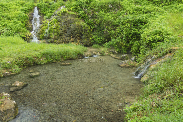垣花樋川 かきのはなひーじゃー の写真素材 イラスト素材 アマナイメージズ