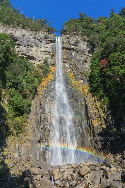 那智の滝と虹[01801018116]の写真・イラスト素材｜アマナイメージズ