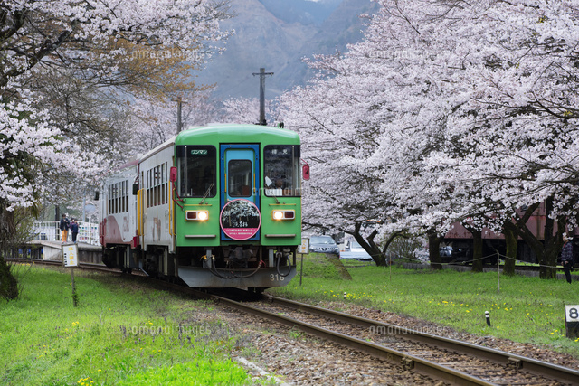 桜と電車[01801018370]の写真・イラスト素材｜アマナイメージズ