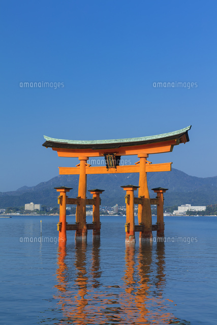 厳島神社の大鳥居 の写真素材 イラスト素材 アマナイメージズ