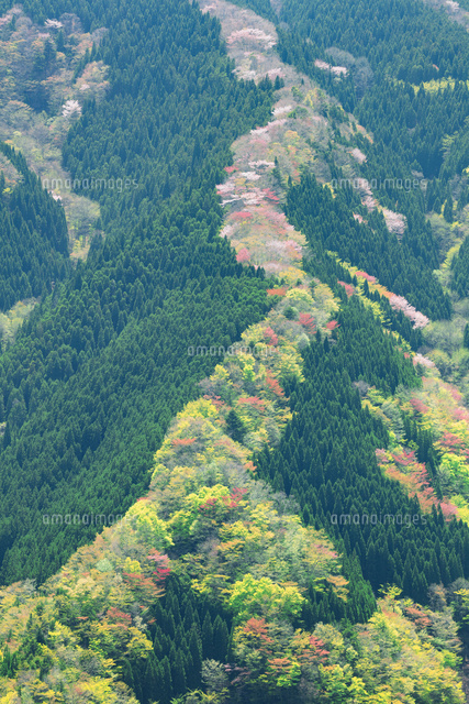春のナメゴ谷 の写真素材 イラスト素材 アマナイメージズ