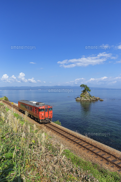 秋のjr氷見線と女岩 の写真素材 イラスト素材 アマナイメージズ