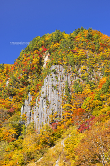 秋山郷